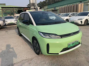 2021 BYD D1 Pure EV