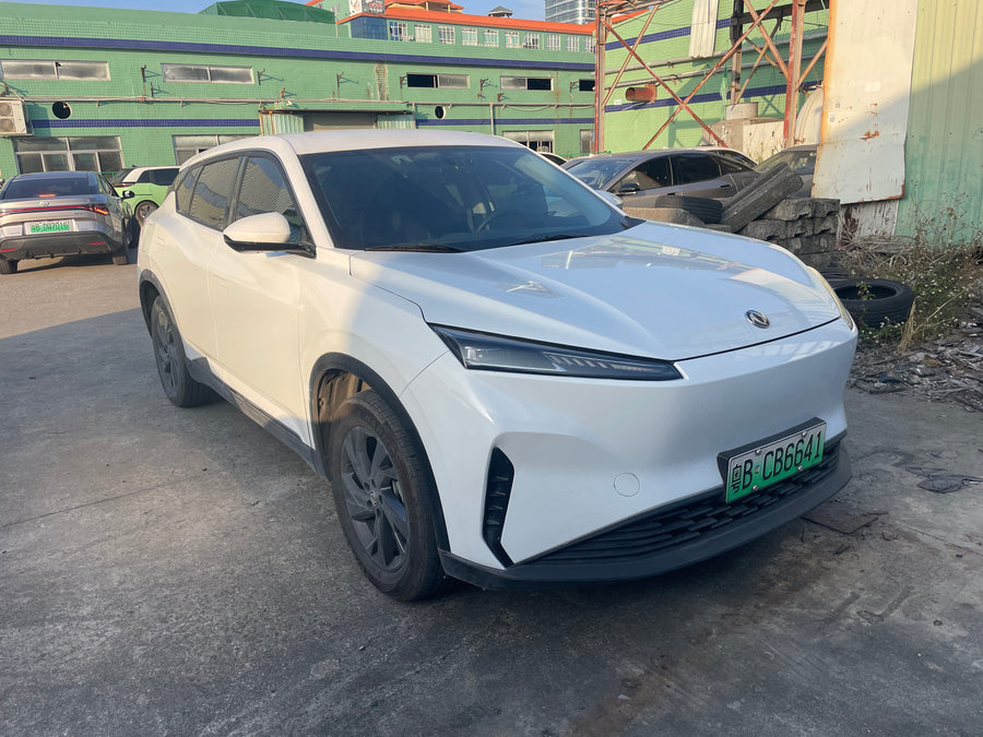 2023 Dongfeng-SKY PRO EV01 445km-Pure EV