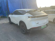 2023 Dongfeng-SKY PRO EV01 445km-Pure EV