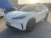 2023 Dongfeng-SKY PRO EV01 445km-Pure EV