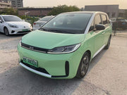 2021 BYD D1 Pure EV