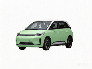2021 BYD D1 Pure EV