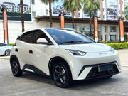 2023 BYD Seagull  Freedom Edition