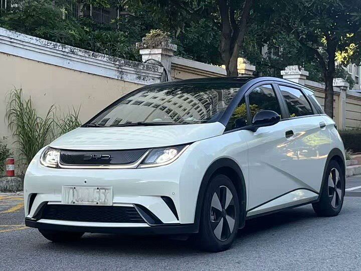 2025 BYD Dolphin Knight Edition