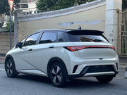 2025 BYD Dolphin Knight Edition