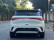 2025 BYD Dolphin Knight Edition