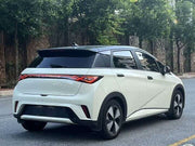 2025 BYD Dolphin Knight Edition