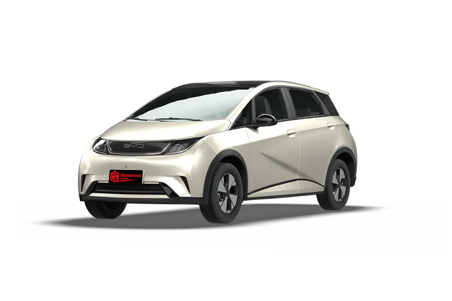 2025 BYD Dolphin Knight Edition