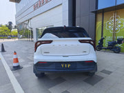 2024 Geely Geometry E Firefly